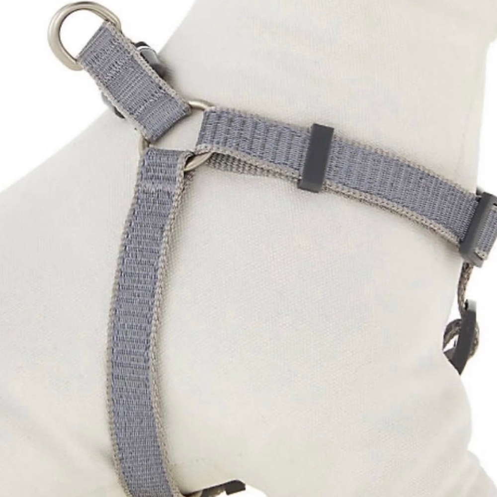 Dog Collar Small
